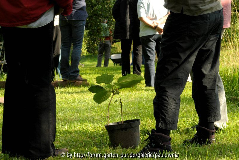 Garten 43