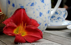 Kaffee 05