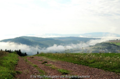 Nebel 2