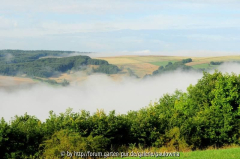 Nebel 3