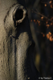 Winterbaumwelt 02