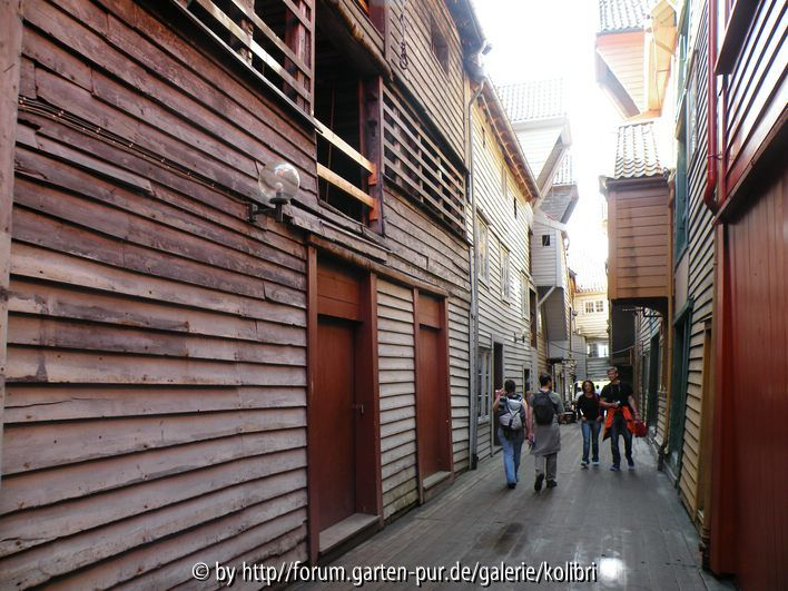 Speicherstadt v. Bergen