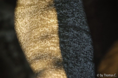 Winterbaumwelt 28