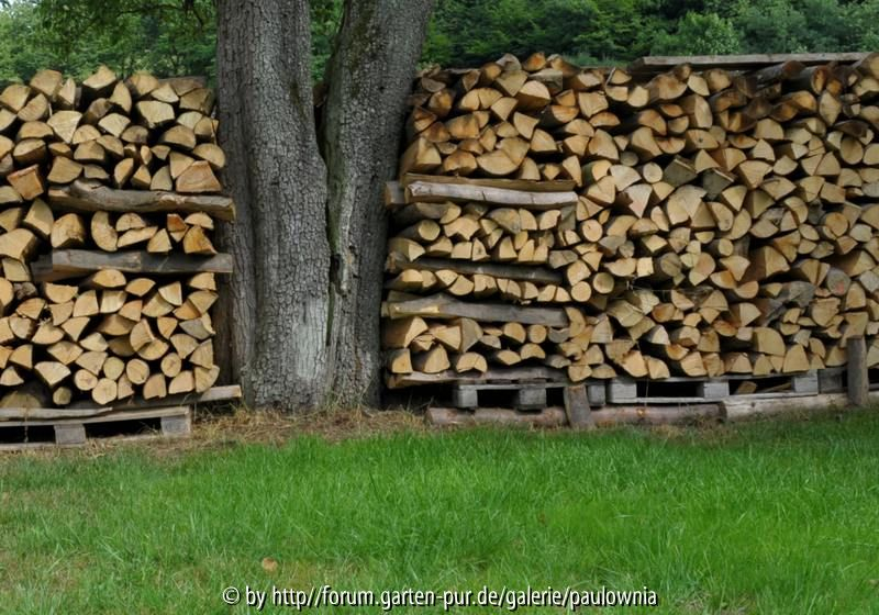 Holz 20