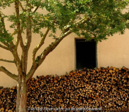 Holz 05