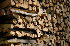 Holz 01