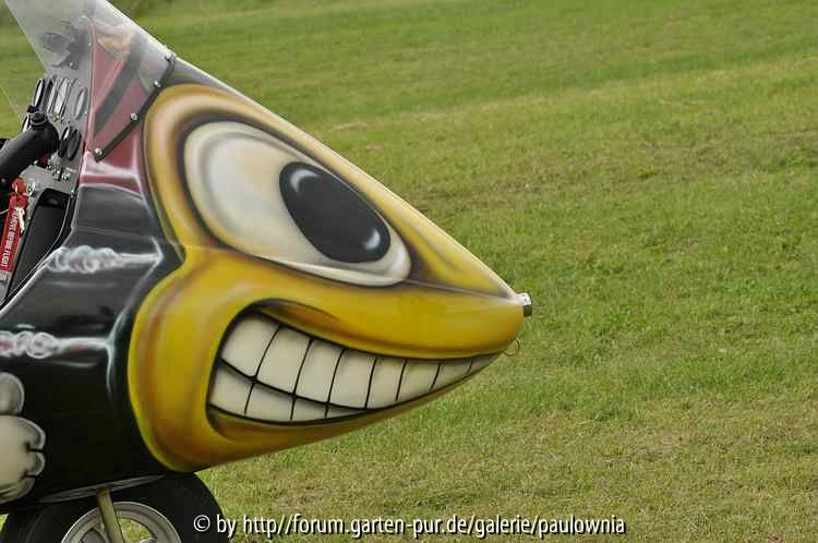Flugtag 20b