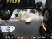 karlfädchen2.JPG