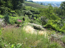 Aussicht 20110817.jpg