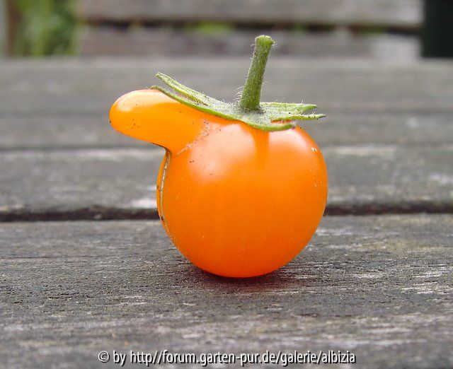 '