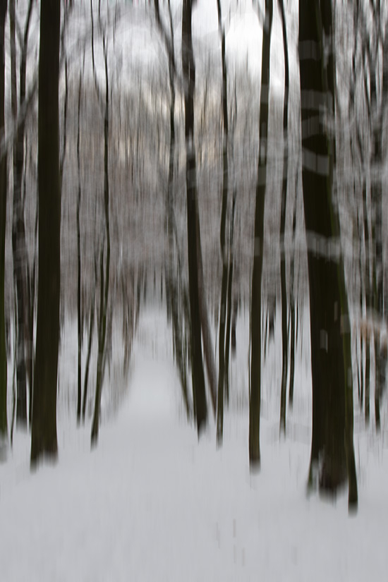 Wald etwas schwächer verwischt