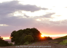 Sonnenuntergang 010