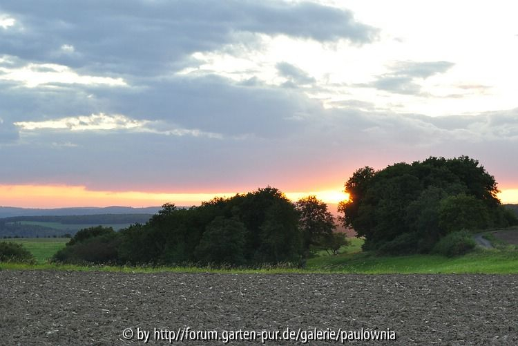 Sonnenuntergang 03