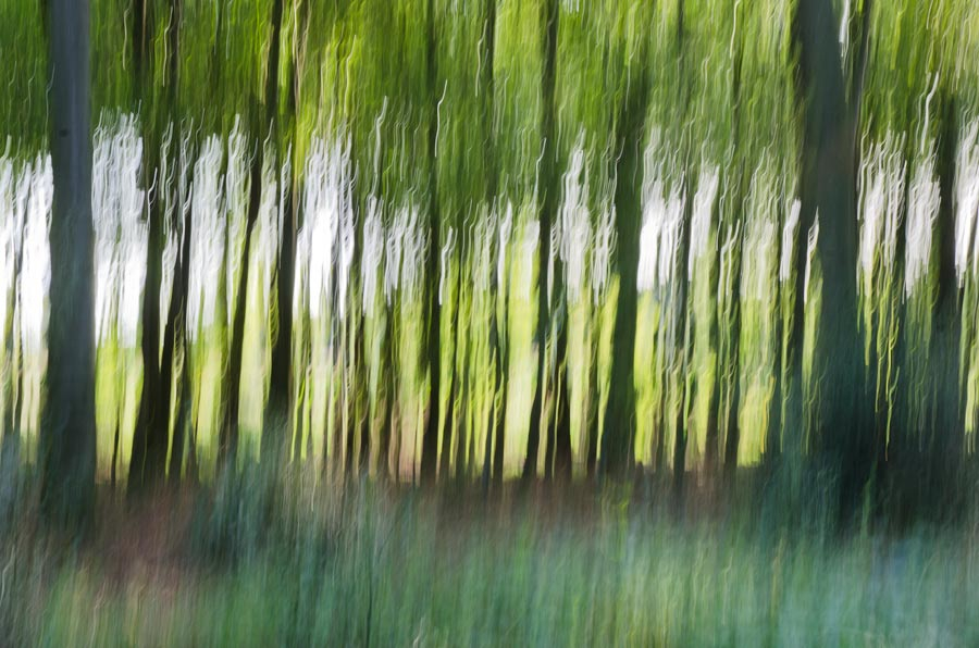 Wischer Freihand ohne Filter