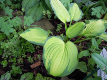 DSCN1402.JPG