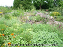 Kräutergarten mit Spirale