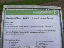 Sedumsichtung