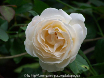 Marie Luise Marjan Sept
