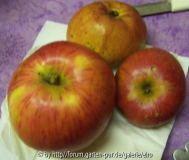 Sep 006 Apfel unbekannt.jpg