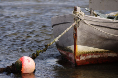 das_graue_Boot.jpg