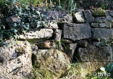 Mauer 4