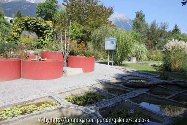 Botanischer Garten Innsbruck