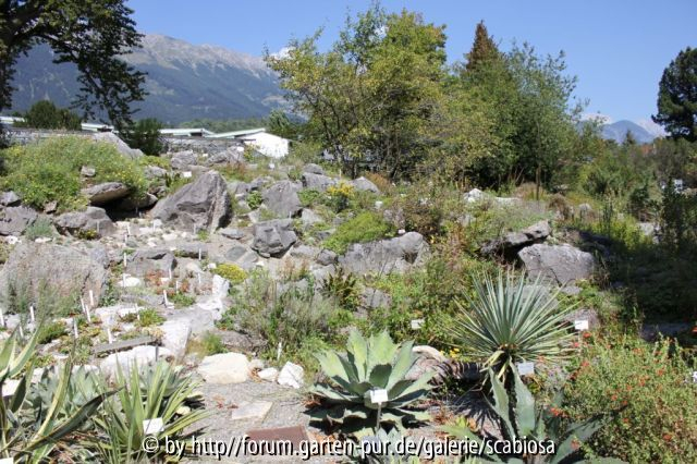 Bot.  Garten Innsbruck