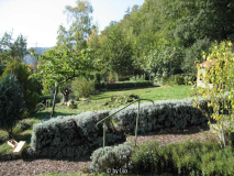 Päonienbeet 20111016_01.jpg