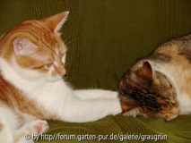 DSC08095.jpg