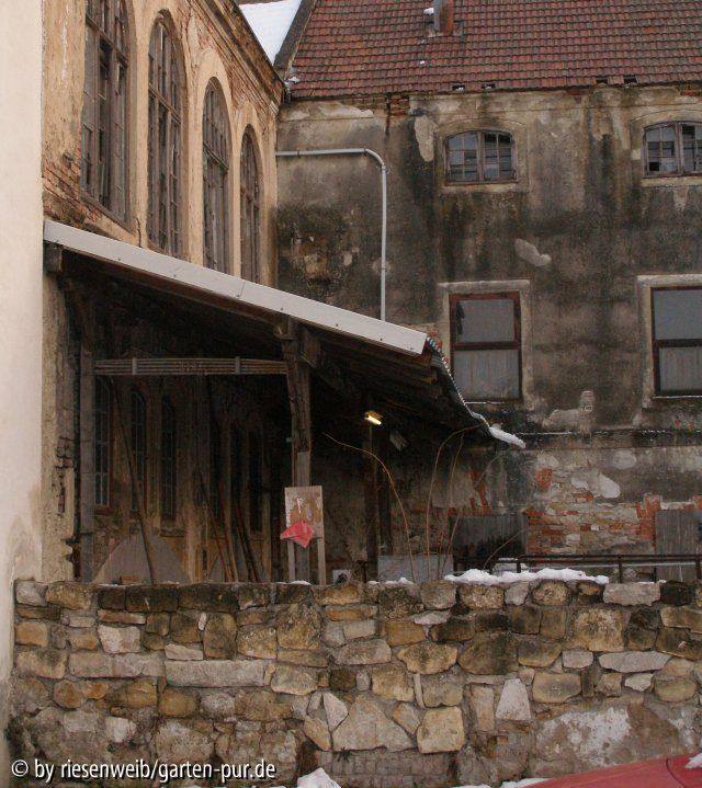 Niederösterreich bezirk bruck an der leitha trocken?mauer