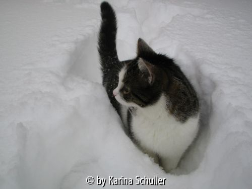 Huch!