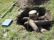 Päonienbeet 20111022_03.jpg