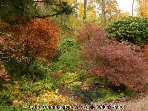 Herbst im Rhodotal
