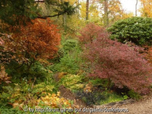 Herbst im Rhodotal