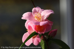 Profumata 05.11.2011