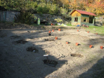Päonienbeet 20111106_12.jpg