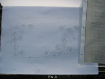 Päonienbeet 20111106_05.jpg