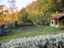 Päonienbeet 20111106_02.jpg