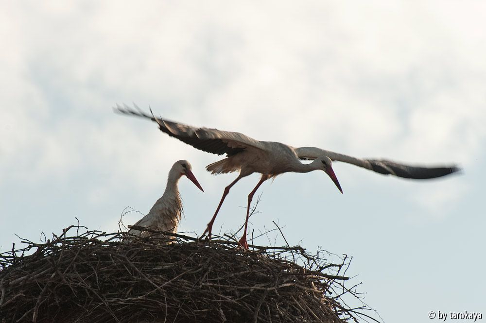 abflug