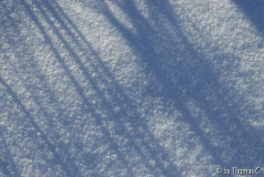 Winter-Eifel 01