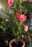 DSCN2302.JPG