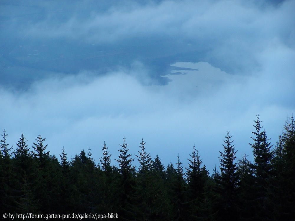 See überm Wald