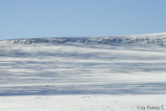 Winter-Eifel 07
