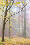 weg uhlenbusch