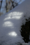 Winter-Eifel 12