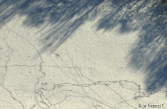 Winter-Eifel 15