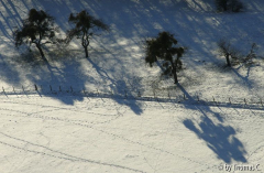 Winter-Eifel 16
