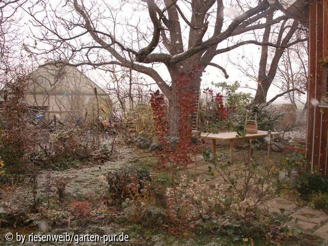 Nussbaumterrasse 2005-11