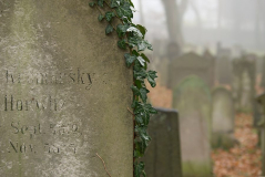 1_friedhof_moisling.jpg