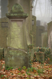 friedhof_moisling.jpg